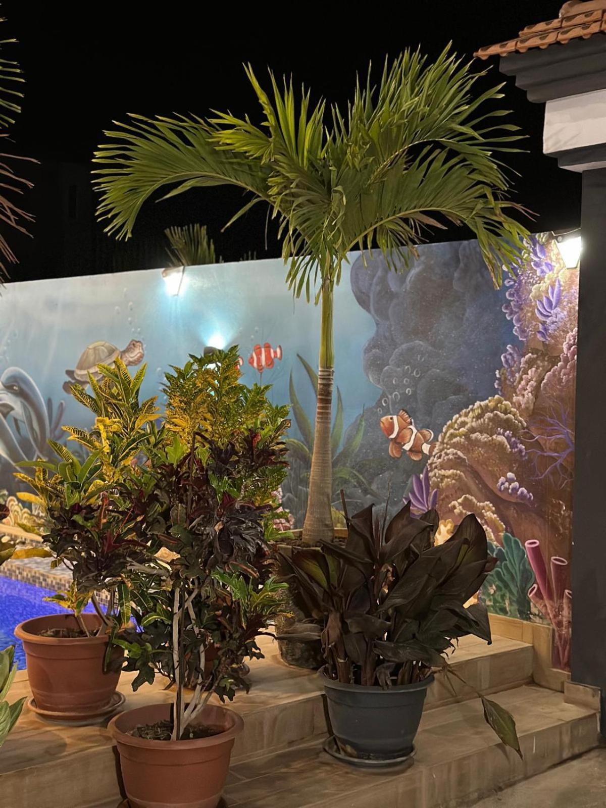 Villa Hawa, Decor Unique & Piscine سوموان المظهر الخارجي الصورة